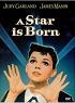 'A Star is Born', 1954