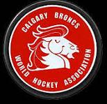 Calgary Broncos Logo