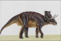 Chasmosaurus