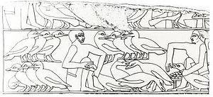 Egyptians feeding geese