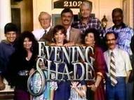 'Evening Shade', 1990-4