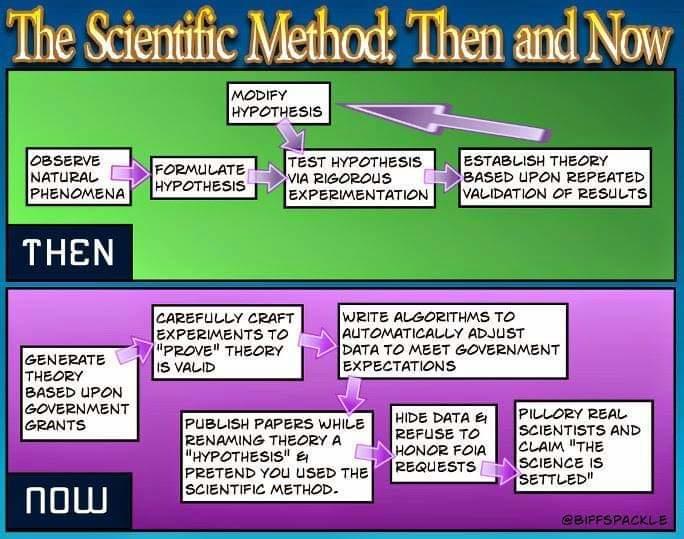 Fake Science Flow Chart