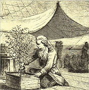 Gabriel de Clieu (1687-1774)