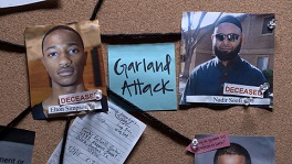 Garland, Tex. Attackers, May 3, 2015