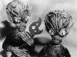 'Invasion of the Saucer Men', 1957