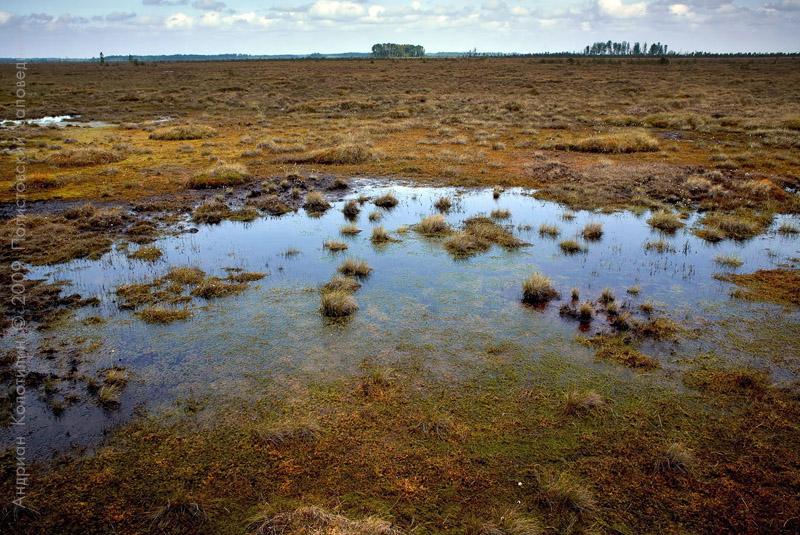 Largest Swamp in Europe