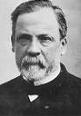 Louis Pasteur (1822-95)