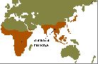 Map of New World Monkeys