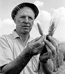 Norman Ernest Borlaug (1914-2009)