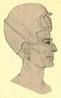 Egyptian Pharaoh Takelot III (d. -759)