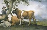 'The Bull' by Paulus Potter (1625-54)