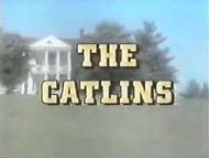 'The Catlins', 1983-5