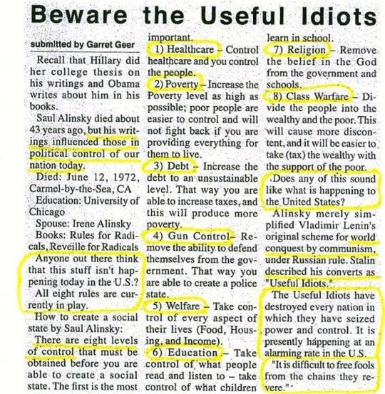 Useful Idiots