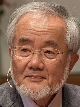 Yoshinori Ohsumi (1945-)